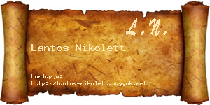 Lantos Nikolett névjegykártya